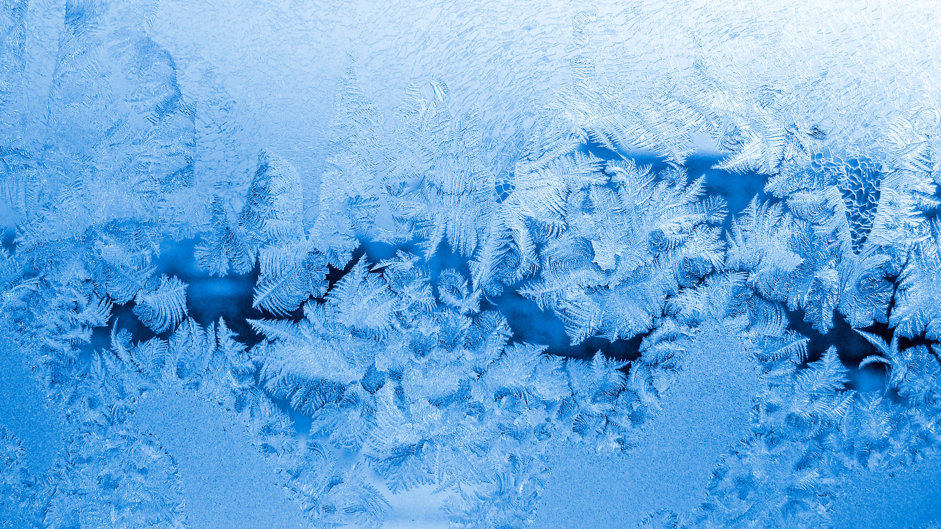 Winterization & Filtering